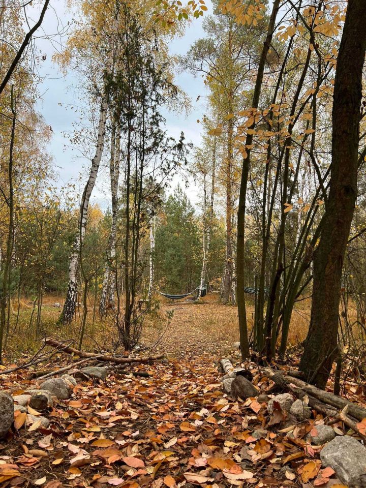 Działka leśna Rzgów. Zdjęcie 8