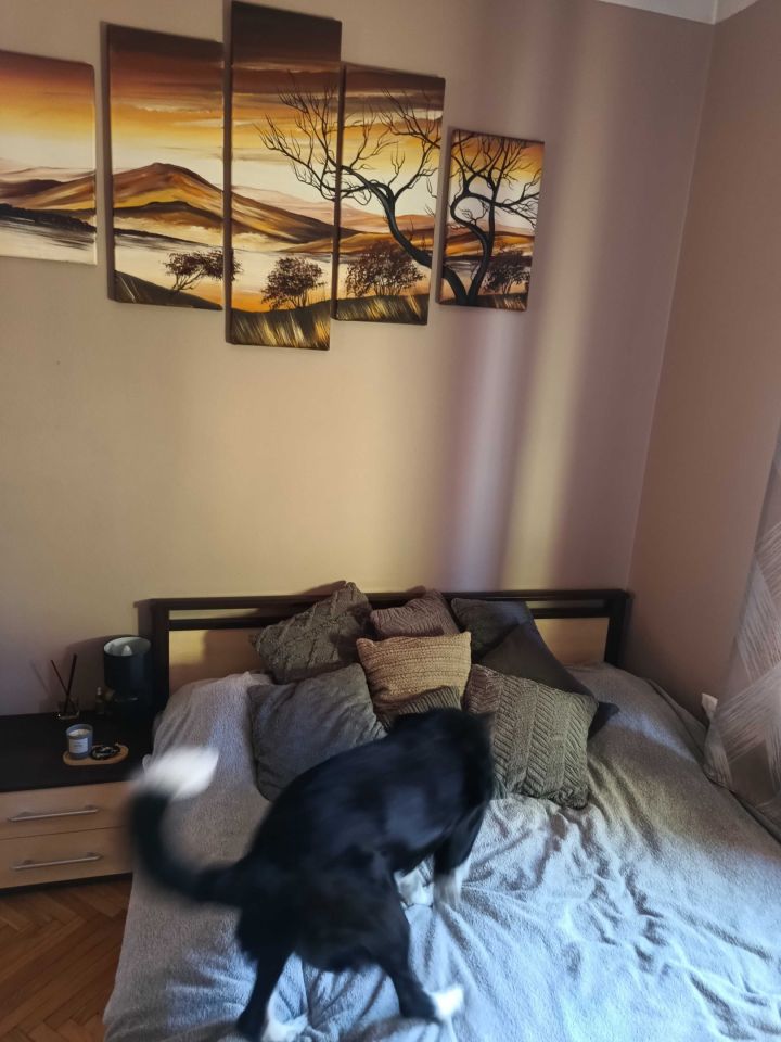 Mieszkanie 3-pokojowe Starachowice, ul. Stefana Żeromskiego. Zdjęcie 3