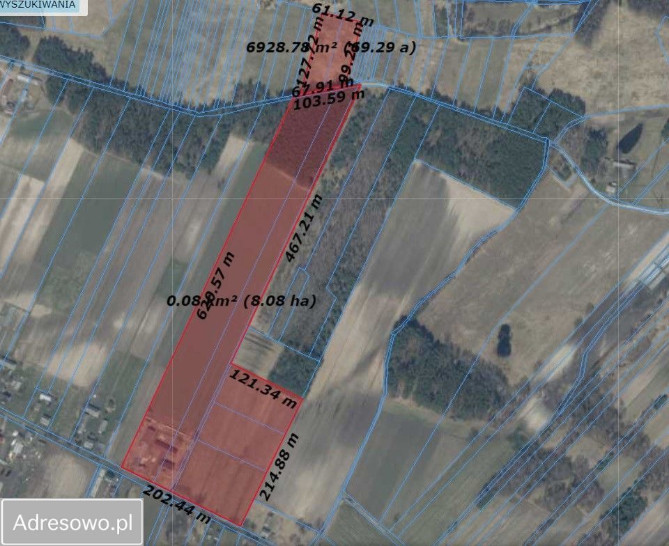 gospodarstwo Potkanna. Zdjęcie 15