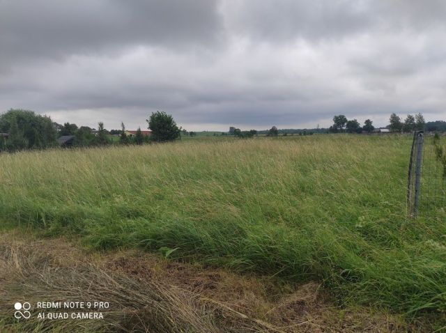 Działka rolna Labuszewo. Zdjęcie 1