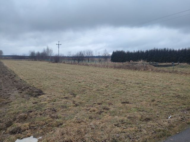 Działka rolno-budowlana Olempin. Zdjęcie 1