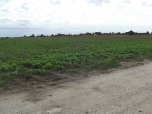 Działka rolna Ścieki. Zdjęcie 2