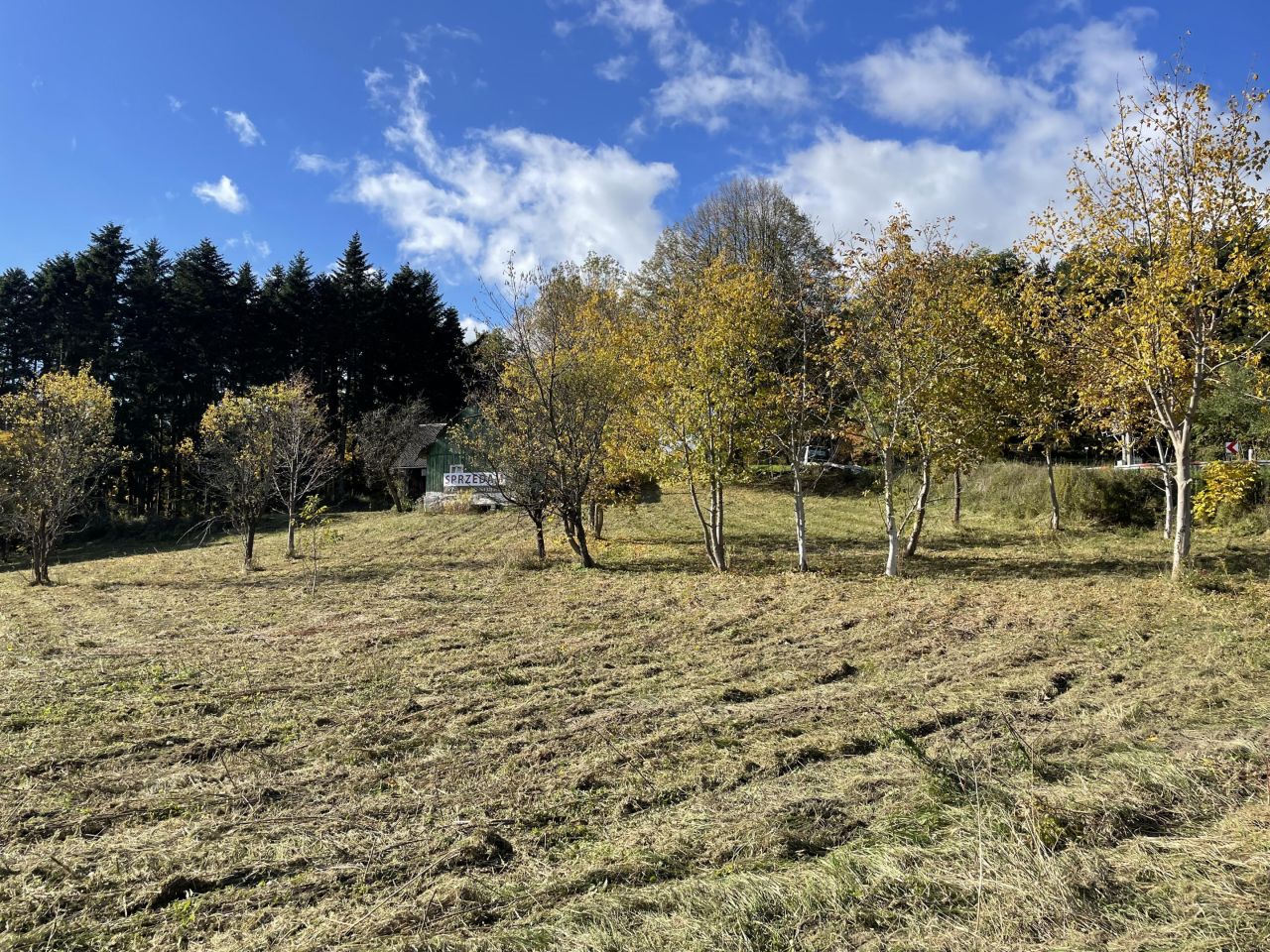 Działka siedliskowa Trzetrzewina Sołtystwo. Zdjęcie 13