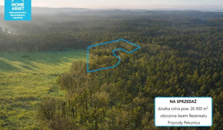 Działka rolna Bieszkowice