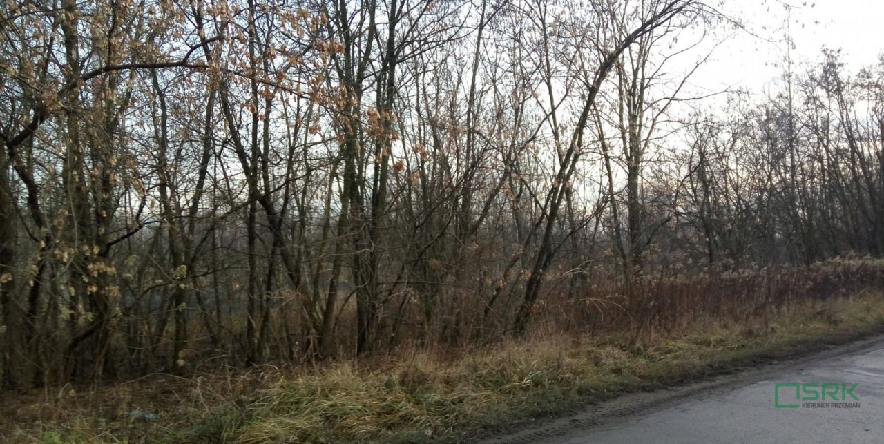 Działka inna Sosnowiec Porąbka, ul. Grenadierów. Zdjęcie 5