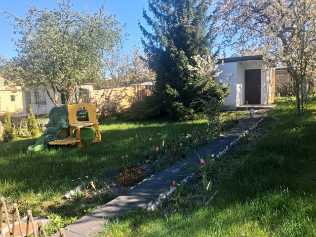 Działka rekreacyjna Lubin, Rod lubczyk. Zdjęcie 1