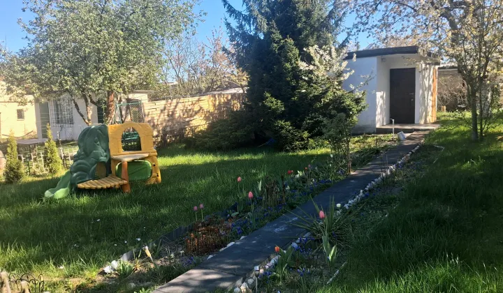 Działka rekreacyjna Lubin, Rod lubczyk