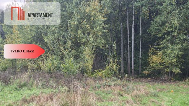 Działka siedliskowa Słowienkowo. Zdjęcie 12