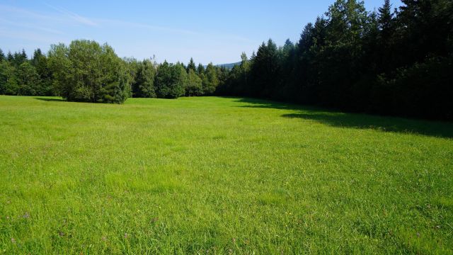 Działka rolno-budowlana Klimkówka. Zdjęcie 2