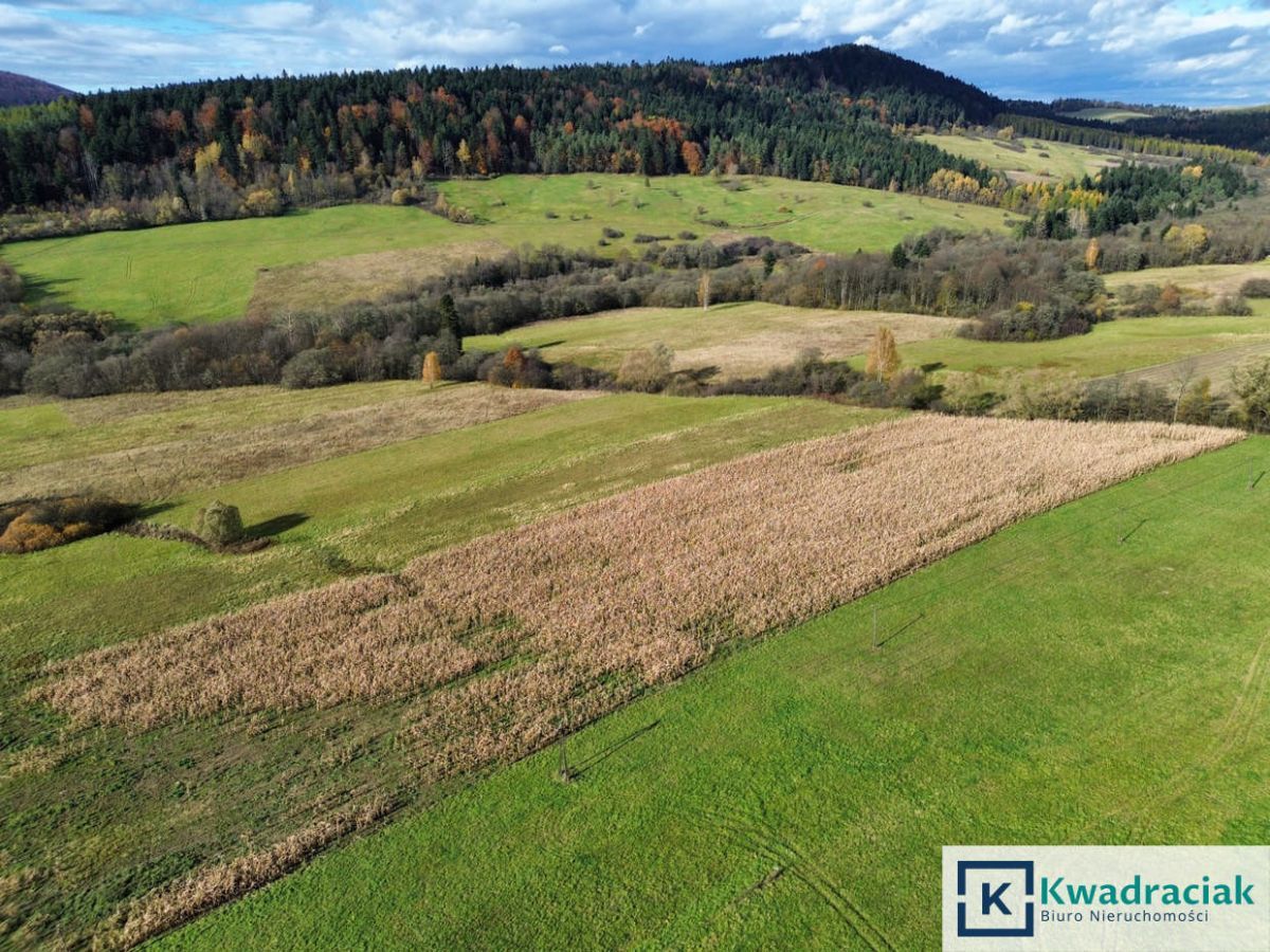 Działka rolna Daliowa. Zdjęcie 6