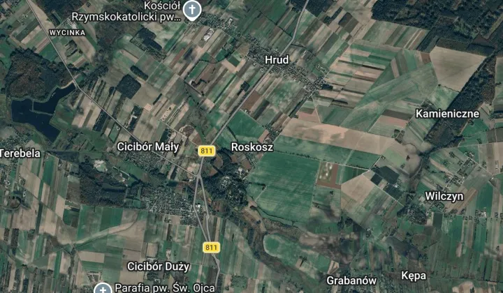 Działka leśna Roskosz