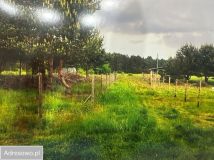 Działka budowlana Miasteczko Śląskie, ul. Klonowa. Zdjęcie 3