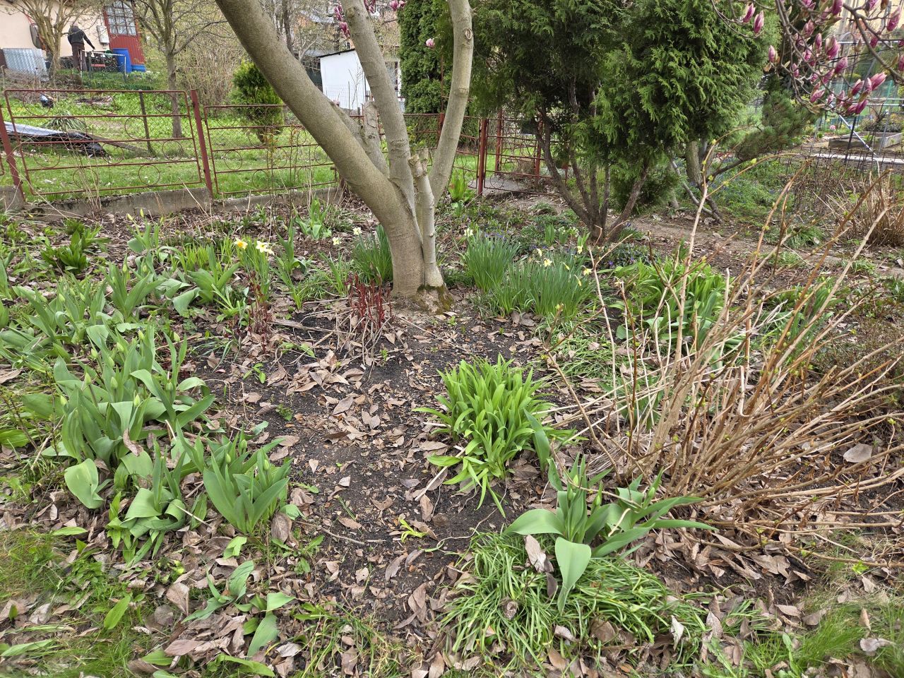 Działka rod Bielsko-Biała Lipnik, ul. Łąkowa. Zdjęcie 8