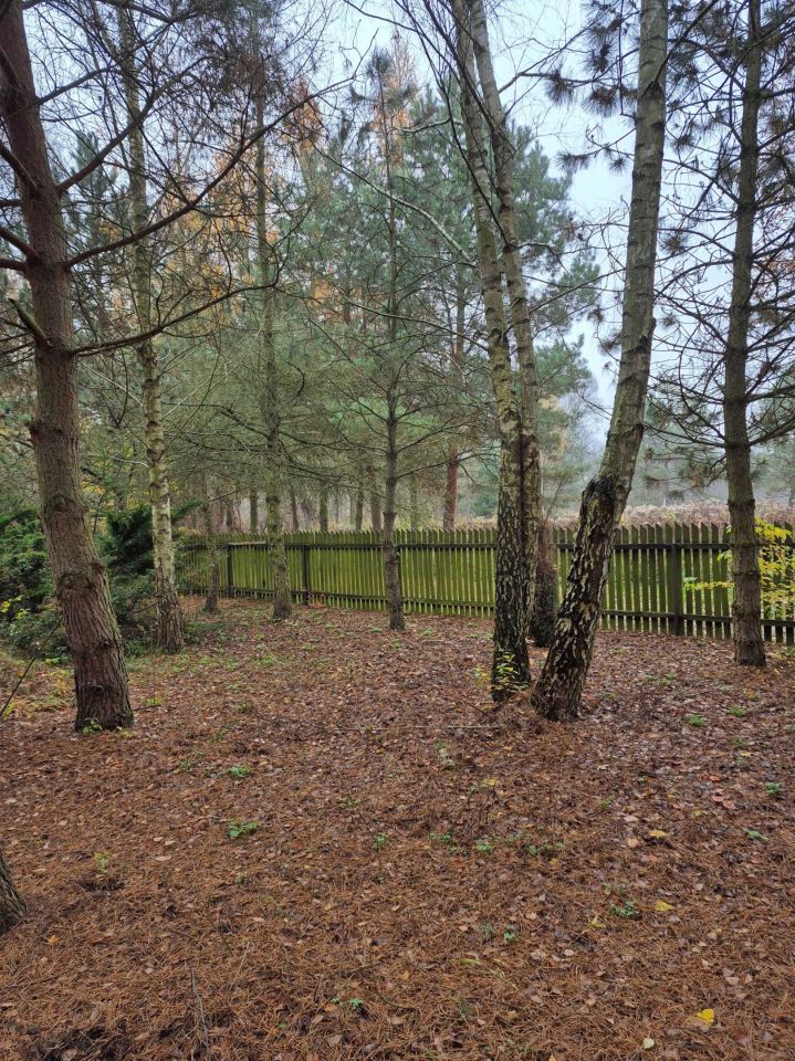 Działka rekreacyjna Kępa. Zdjęcie 6