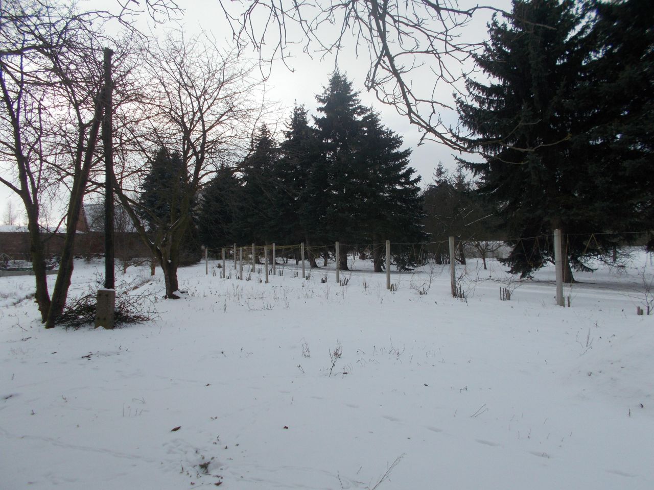 gospodarstwo, 17 pokoi Jabłonów, ul. Zielona. Zdjęcie 11