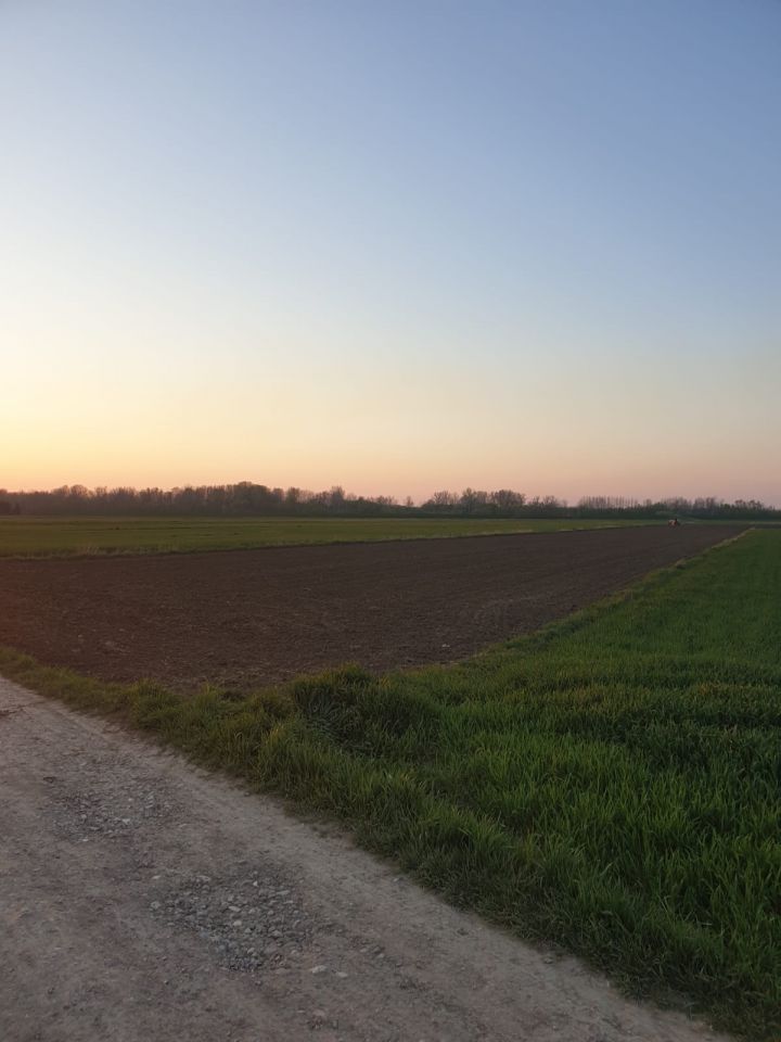 Działka budowlana Górki. Zdjęcie 8