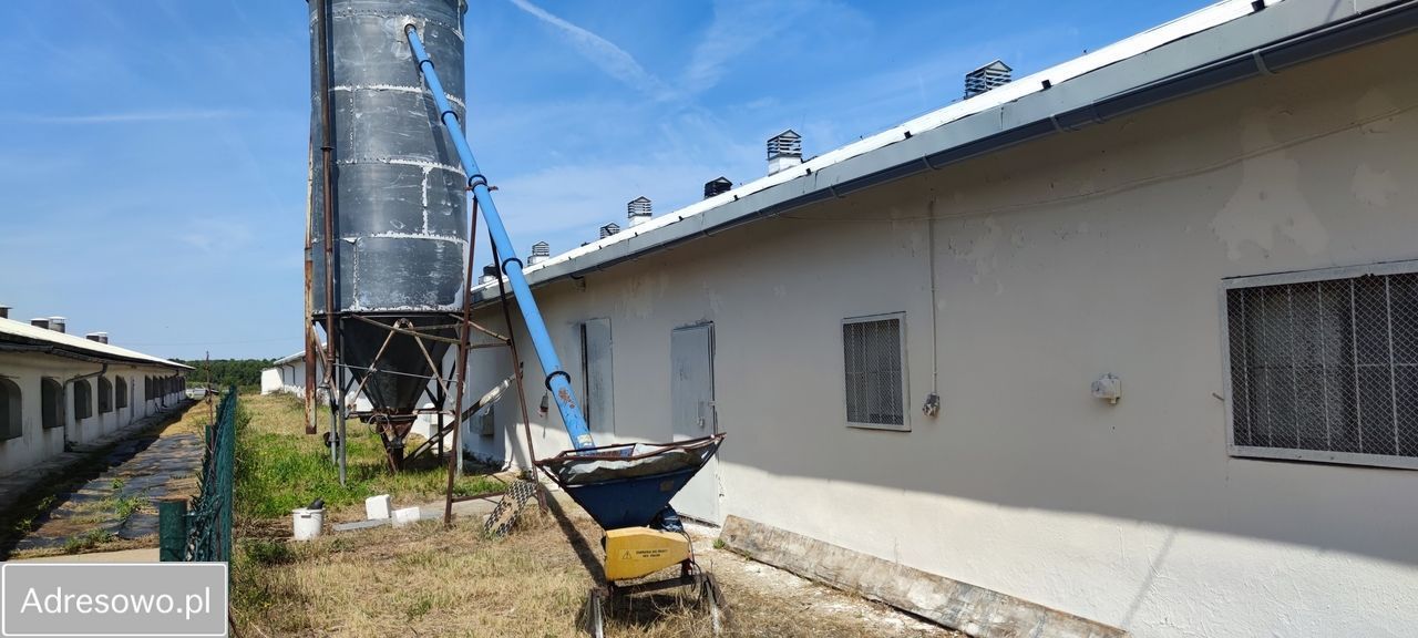 Hala/magazyn Strzelce. Zdjęcie 2