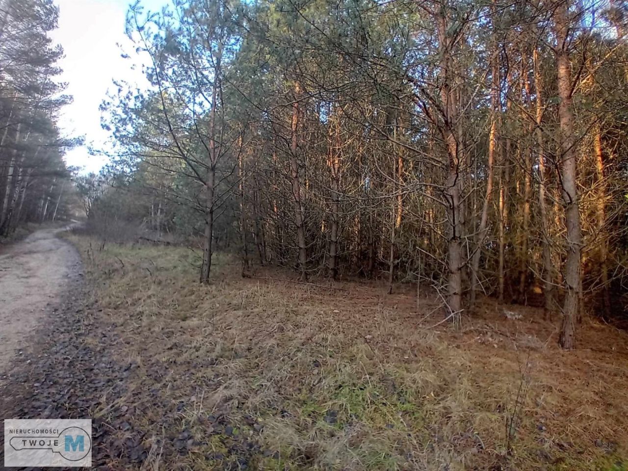 Działka inwestycyjna Daleszyce. Zdjęcie 11