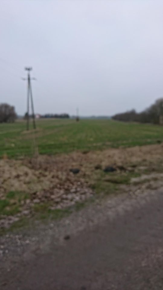 Działka budowlana Kwilina. Zdjęcie 2