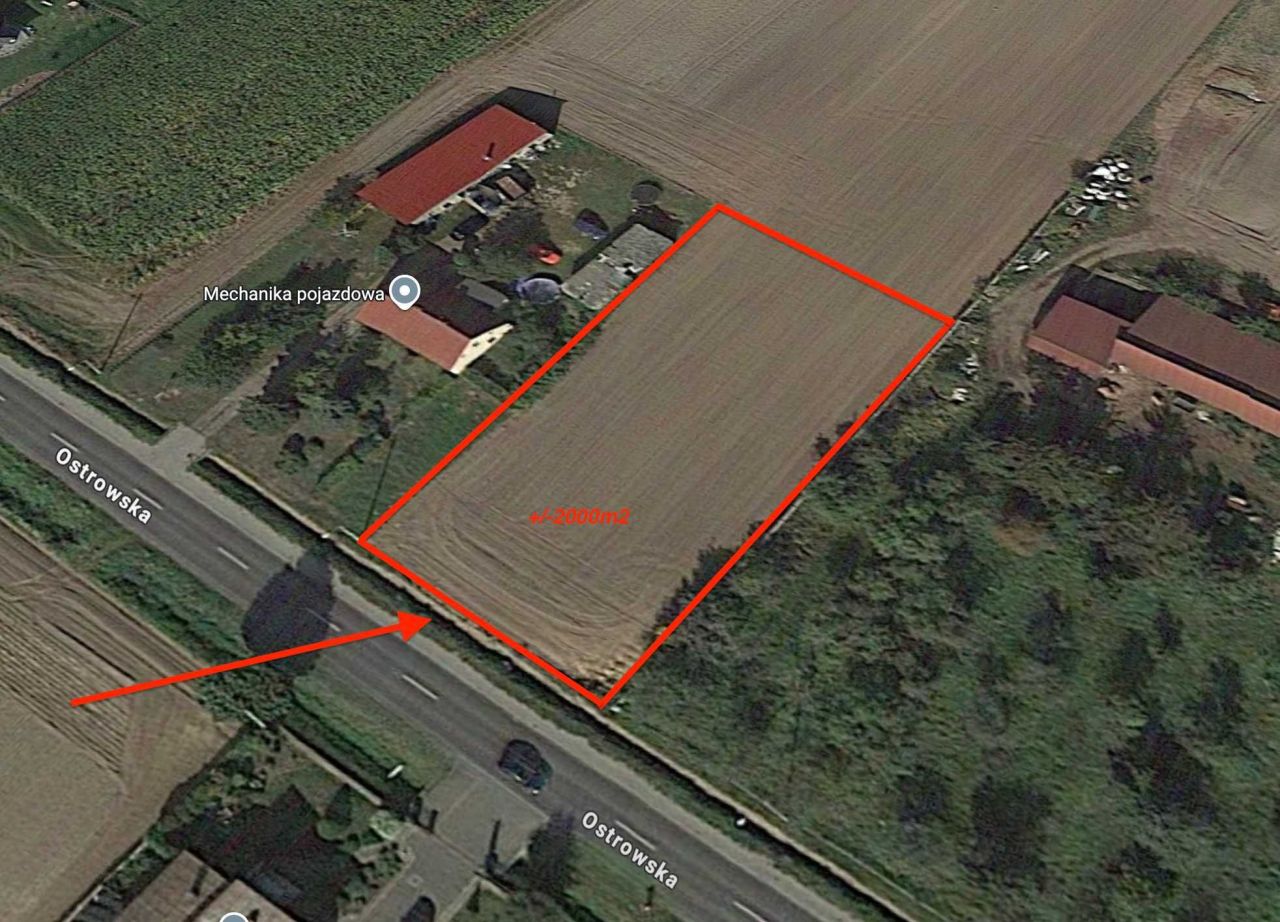 Działka inwestycyjna Sieroszewice. Zdjęcie 3