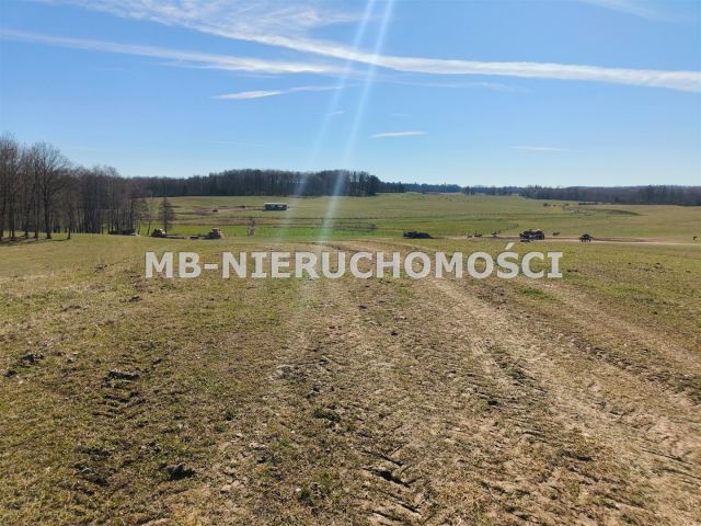 Działka rolna Parcz. Zdjęcie 2