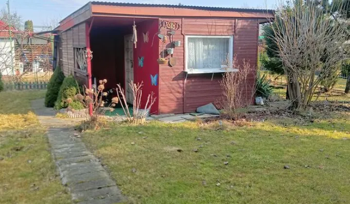 Działka rod Kutno, ul. Grunwaldzka