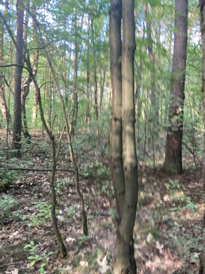 Działka budowlana Otwock Soplicowo, ul. Łowiecka. Zdjęcie 12