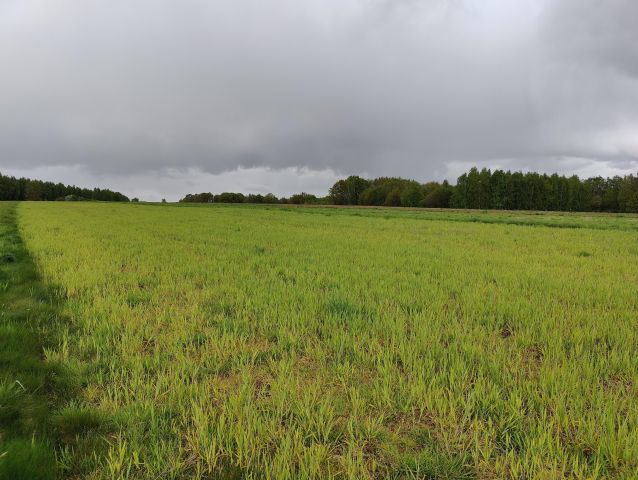 Działka budowlana Chocznia Przy Góralskiej Drodze, ul. Góralska. Zdjęcie 1