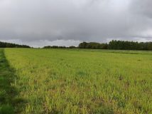Działka budowlana Chocznia Przy Góralskiej Drodze, ul. Góralska