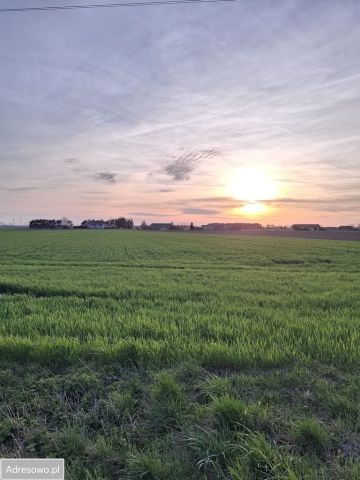 Działka budowlana Markowice. Zdjęcie 1