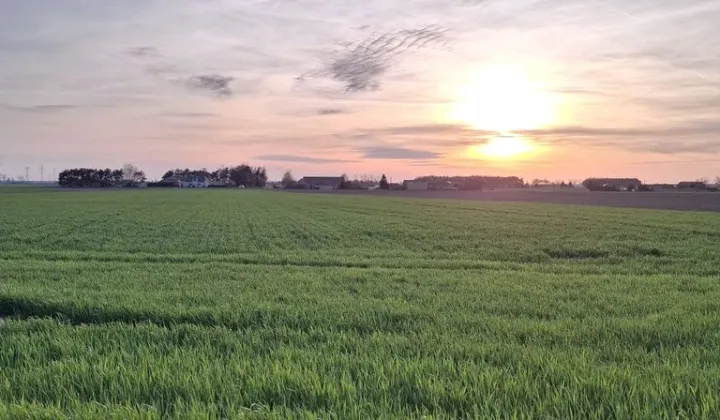 Działka budowlana Markowice