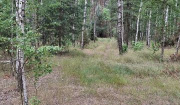 Działka inna Zarzęcin