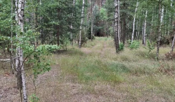 Działka inna Zarzęcin