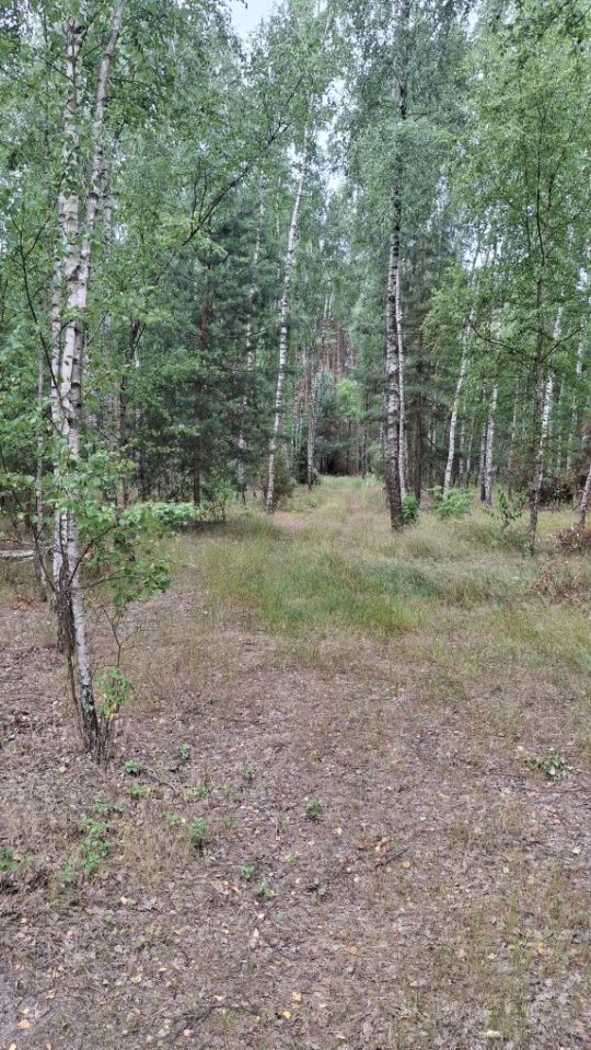 Działka inna Zarzęcin