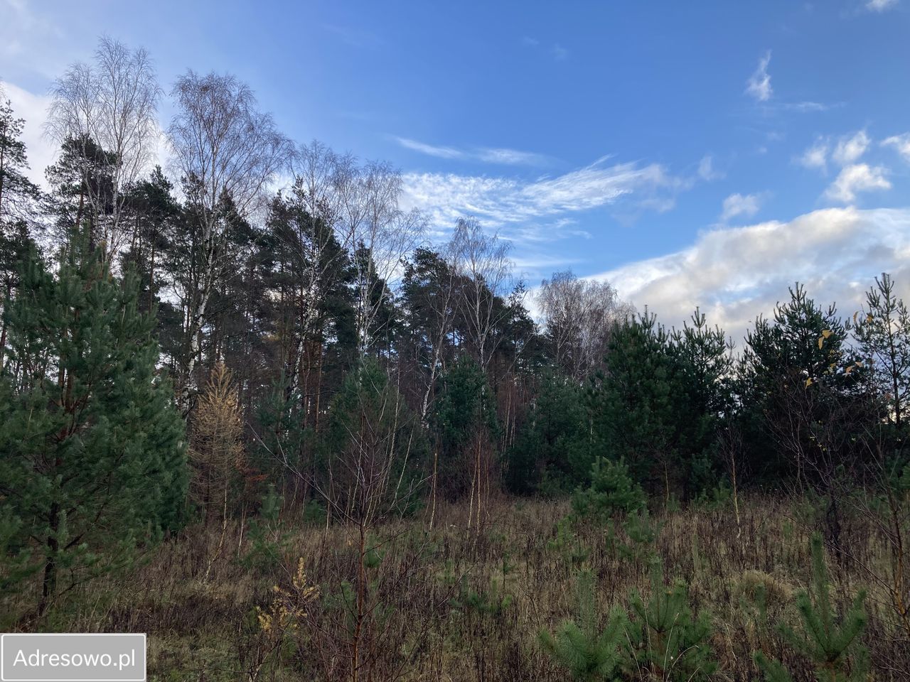 Działka budowlana Banino, ul. Bursztynowa. Zdjęcie 7