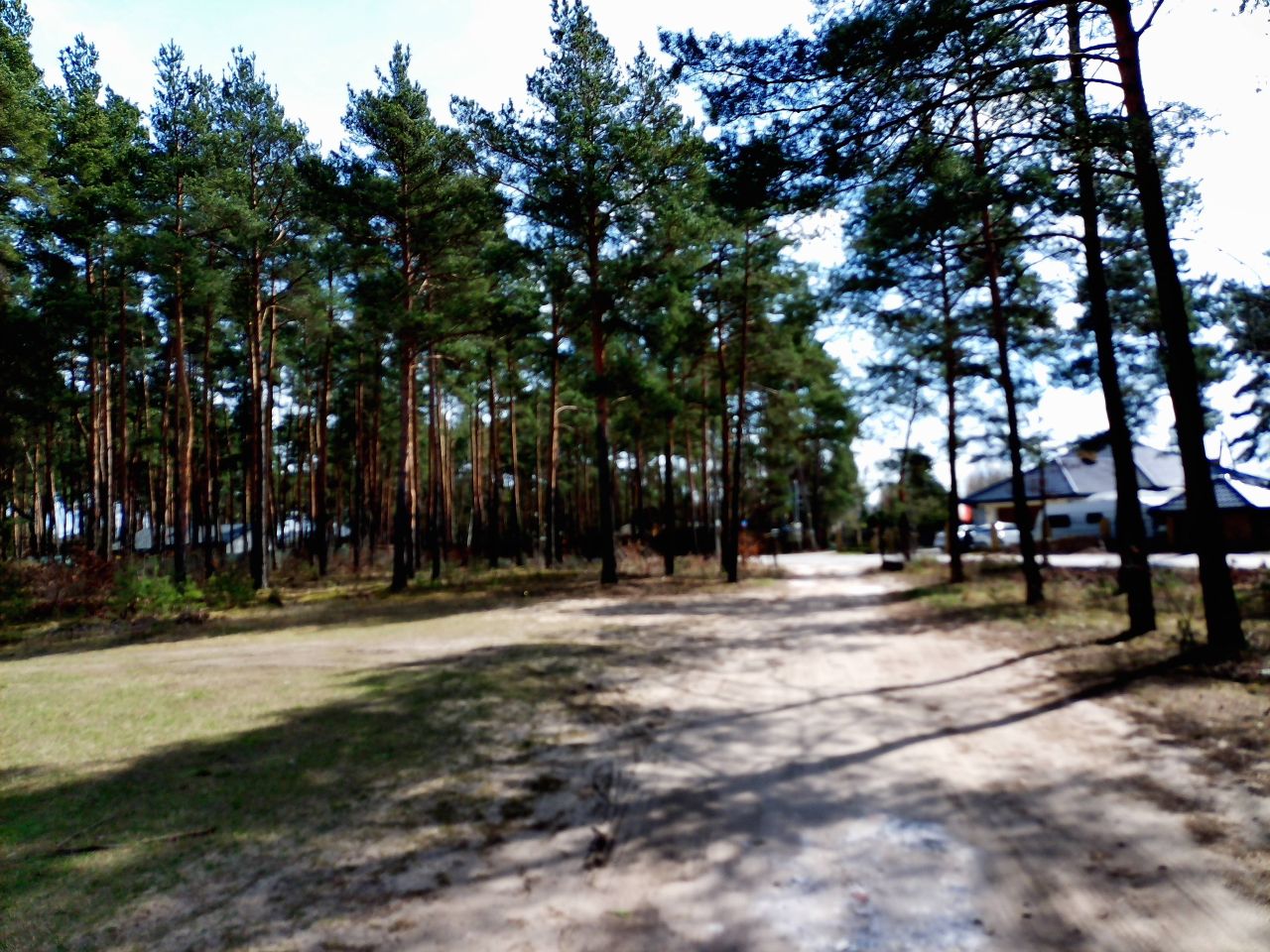 Działka leśna Marynino. Zdjęcie 30