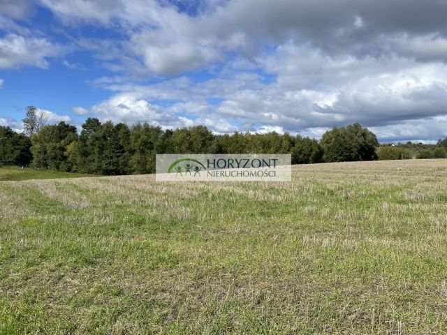 Działka budowlana Łapino Kartuskie. Zdjęcie 6