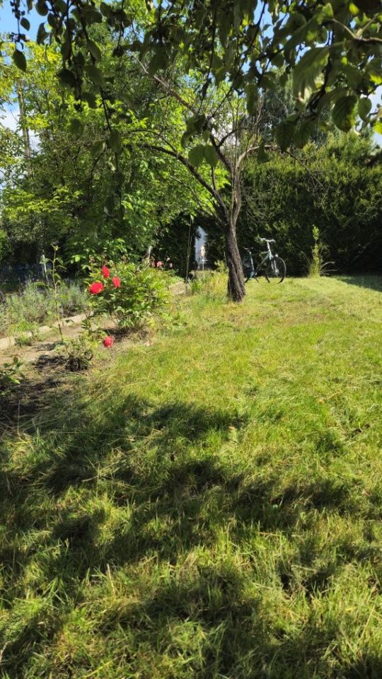 Działka rod Tarnowskie Góry Strzybnica. Zdjęcie 7