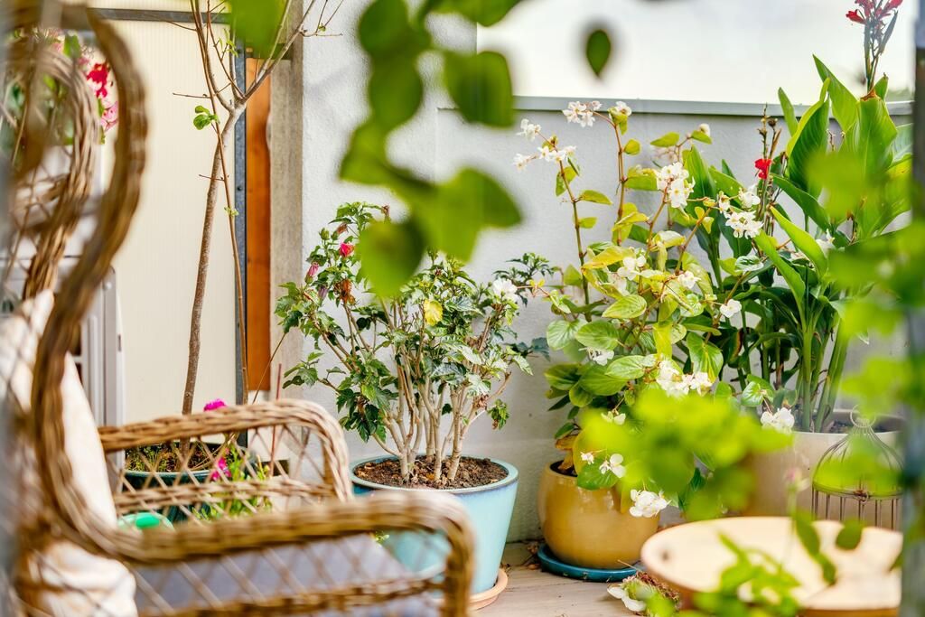 Mieszkanie 5-pokojowe Warszawa Białołęka, ul. Strumykowa. Zdjęcie 3