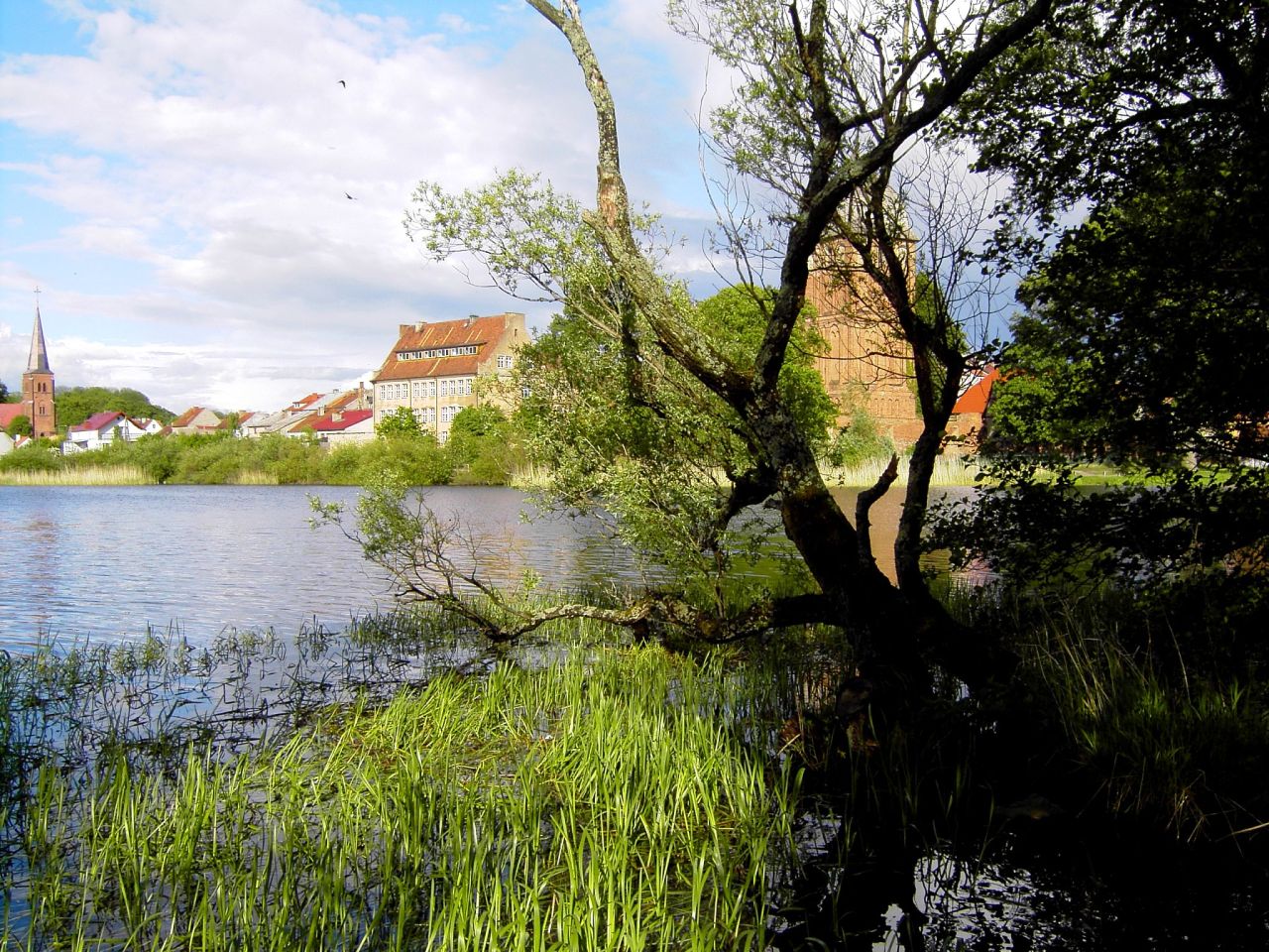 Działka budowlana Pasym, ul. Ostrów. Zdjęcie 12