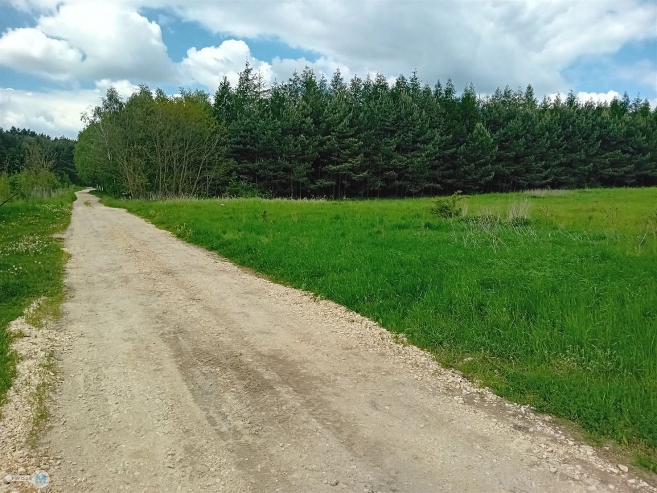 Działka rolna Gorzakiew. Zdjęcie 9