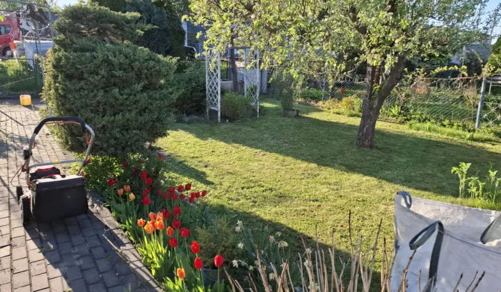 Działka rod Piotrków Trybunalski, Przemysłowa