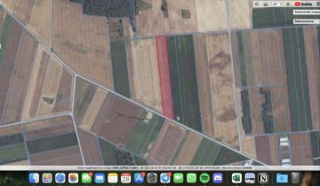 Działka rolna Zielona