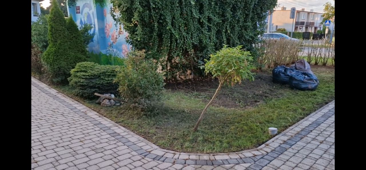 Lokal Rumia Centrum, ul. Kosynierów. Zdjęcie 12