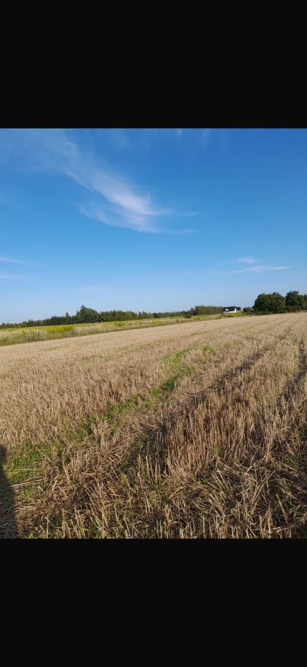 Działka rolna Siekierki Małe, ul. Jasińska. Zdjęcie 2