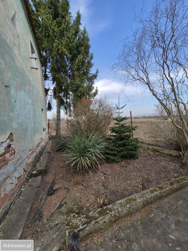 dom wolnostojący, 3 pokoje Nowa Sól, ul. Wodna. Zdjęcie 14