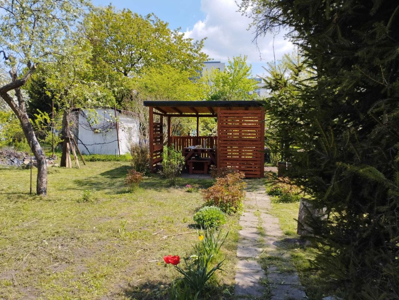 Działka rod Wrocław Krzyki, ul. Spiska. Zdjęcie 5