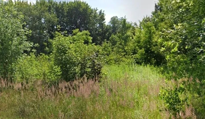 Działka budowlana Zabrze Zaborze, ul. Skarbnika