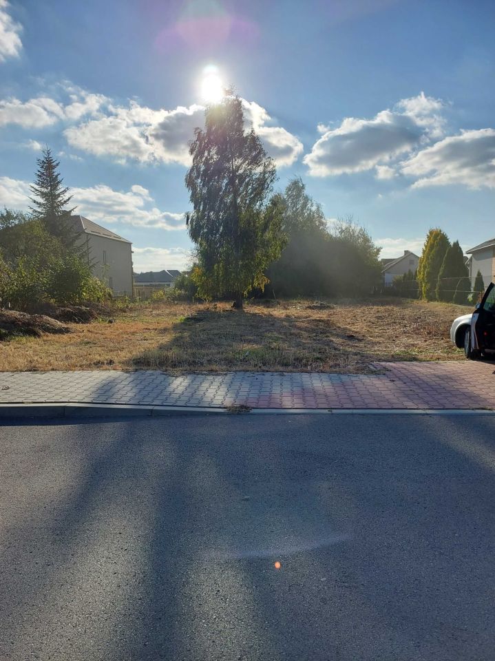 Działka budowlana Trawniki-Kolonia. Zdjęcie 2