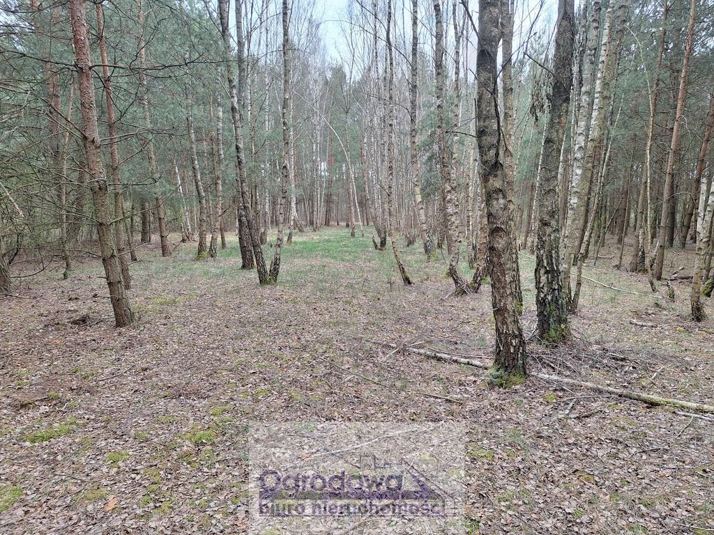 Działka Kamieńczyk. Zdjęcie 5
